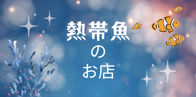 熱帯魚のお店